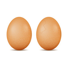 Two realistic isolated eggs. Cracked egg. Vector illustration.