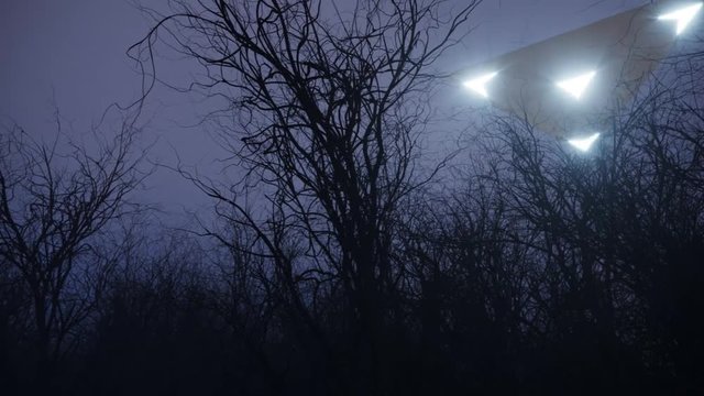 3d ufo flew over the wild forest at night