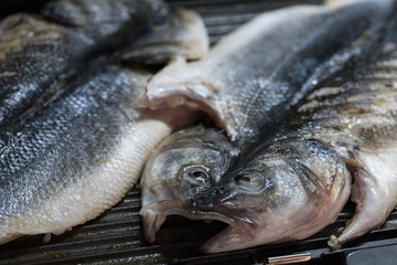 Raw seabass fish on electric grill spread in half