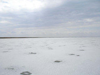 View of the huge salt lake in the spring in cloudy weather