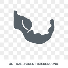 Muscular arm icon. Trendy flat vector Muscular arm icon on transparent background from Human Body Parts collection. High quality filled Muscular arm symbol use for web and mobile