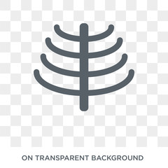 Human Ribs icon. Trendy flat vector Human Ribs icon on transparent background from Human Body Parts collection. High quality filled Human Ribs symbol use for web and mobile