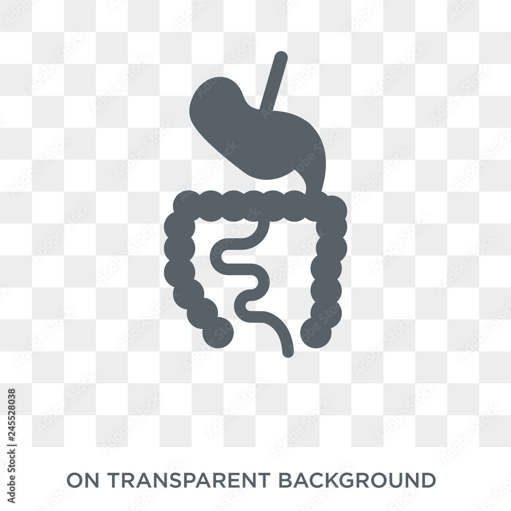 Poster digestive system icon. trendy flat vector digestive system icon on transparent background from human