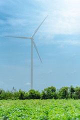 Wind  generators turbines electricity and agricultural fields on a summer day