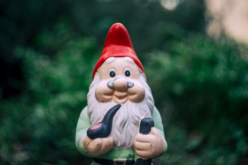 Garden Gnome Portrait