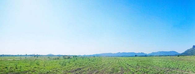 Spring Landscape, Green field and Bright Cloudy Blue Sky