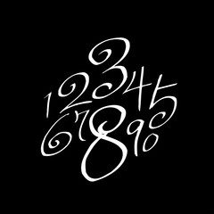 벡터 문자 / 손으로 쓴 글씨체