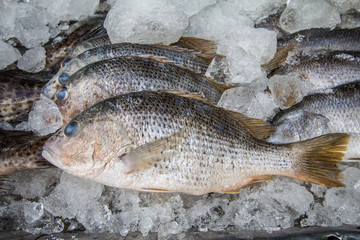 sea food in Thailand