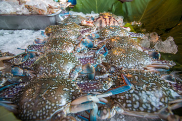 sea food in Thailand