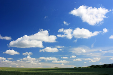 White clouds over the green field