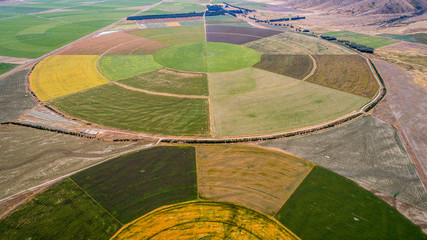 circle crop fields seen from above