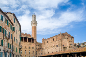 Obraz premium Siena town tower and historic buildings