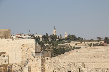 Fototapeta na wymiar view of the city David . Jerusalem