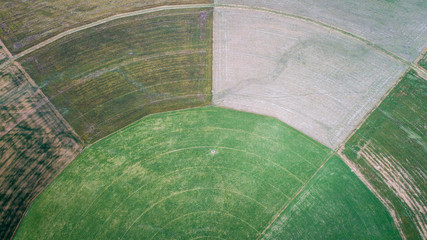 circle crop fields seen from above