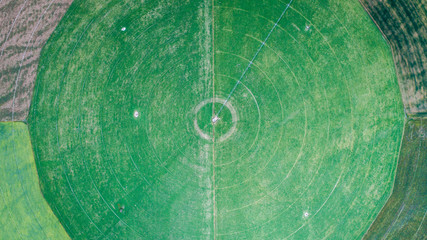 circle crop fields seen from above