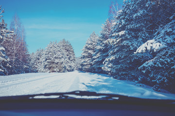 View from the windscreen. Snowy road in the pine winter forest. Winter nature. Snowy forest. Pine branches covered with snow.