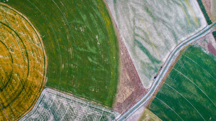 circle crop fields seen from above