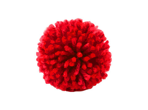 red flower pom pom isolated on white background