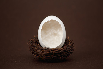 Chicken egg in a nest on a dark background