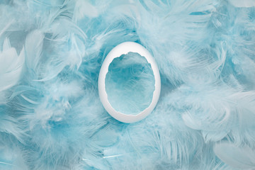  Eggshell in blue feathers