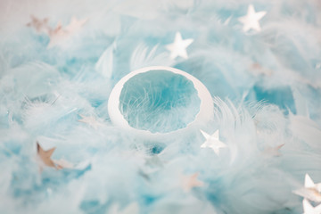  Eggshell in blue feathers with silver stars