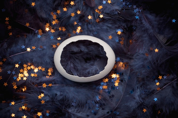 White eggshell in blue feathers with stars