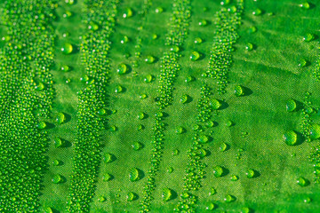 closeup background, piece of cloth in a water drops