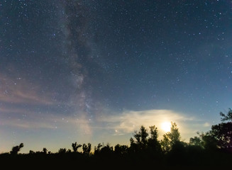 Obraz na płótnie Canvas night forest landscape, tree silhouette, shining moon and milky way on a night sky