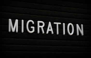 The word Migration in white plastic letters on a felt letter board