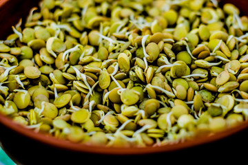 Proper and healthy food. Sprouted wheat, lentil and buckwheat seed. Ecologically clean food. Microgreen. Copy space for text