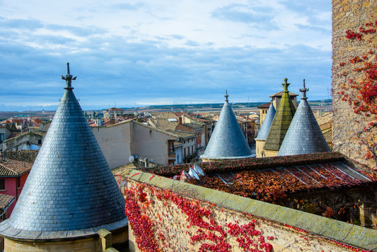 Castillo de Olite en Navarra, detalle de sus tejados y muros atrapados por la hiedra, con espacio para texto