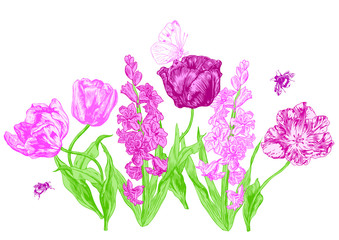 Hyacinth and tulips 
