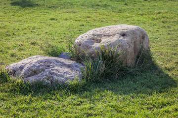 The two big stones on the green grass in summer.