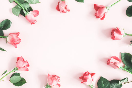 Fototapeta Flowers composition. Pink rose flowers on pastel pink background. Valentines day, mothers day, womens day concept. Flat lay, top view, copy space