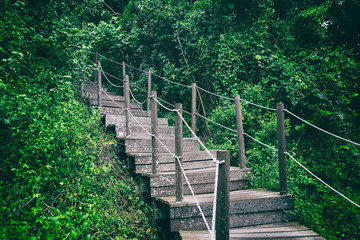 Wooden stairs path in the forest in summer season