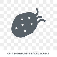 Tuber icon. Tuber design concept from Fruit and vegetables collection. Simple element vector illustration on transparent background.
