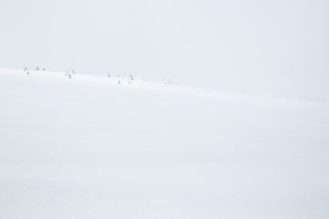 Beautiful winter day in Krkonose (Poland, Czech Republic)