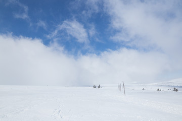 Beautiful winter day in Krkonose (Poland, Czech Republic)