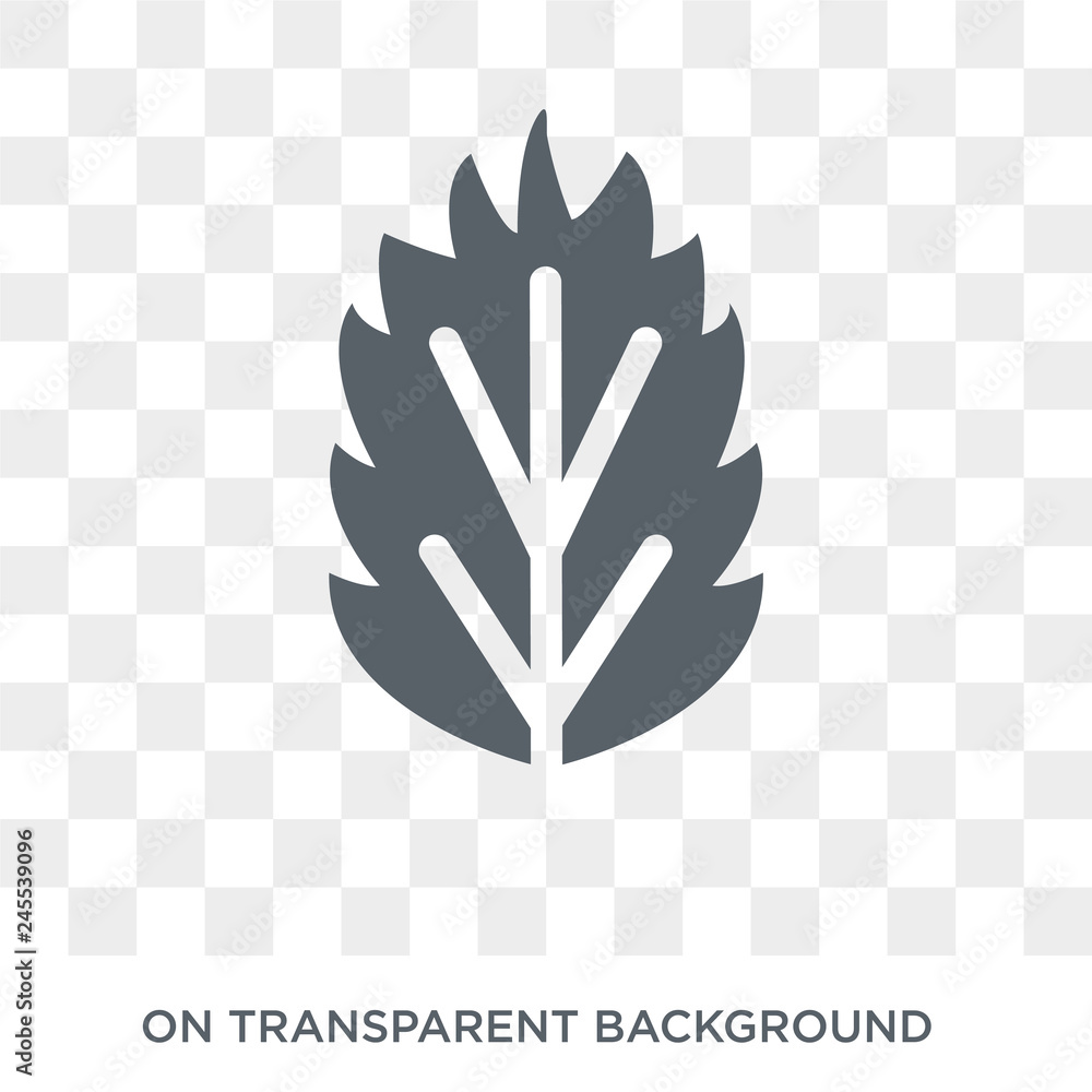 Poster basil icon. basil design concept from fruit and vegetables collection. simple element vector illustr