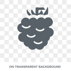 Blackberry icon. Blackberry design concept from Fruit and vegetables collection. Simple element vector illustration on transparent background.