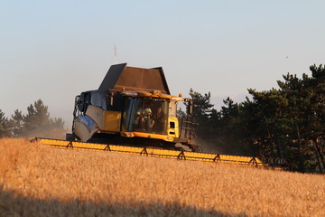 moissonneuse batteuse