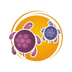 Turtles Illustration