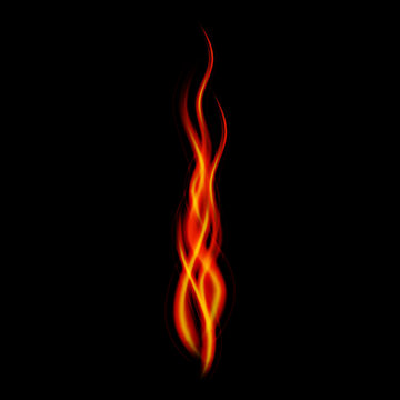 Realistic fire on a black background vector