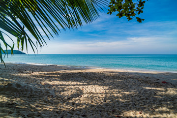 Paradise Island Koh Chang, Lonely Beach, palm trees on the shore on a clear sunny day.