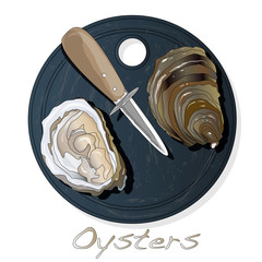 Fresh opened oyster vectorv images set on plate / dish isolated on white background.