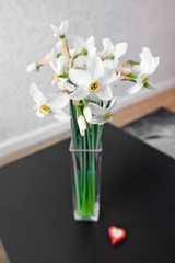 Beautiful flowers in a vase