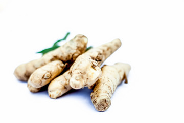 Close up of popular Indian & Asian raw organic herb or ayurvedic herb isolated on white i.e. Amba haldi or Mango ginger or white ginger or Curcuma amada.