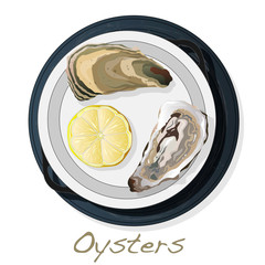Fresh opened oyster vectorv images set on plate / dish isolated on white background.