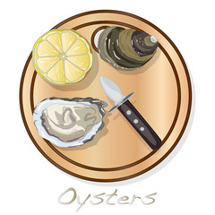 Fresh opened oyster vectorv images set on plate / dish isolated on white background.