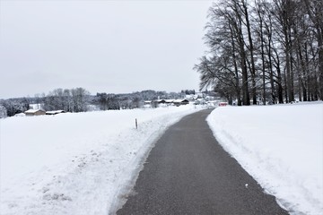 Fototapeta premium Road through a wintry scenery 